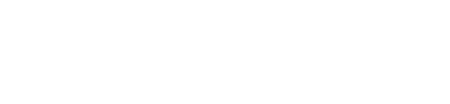 Nomi Logo